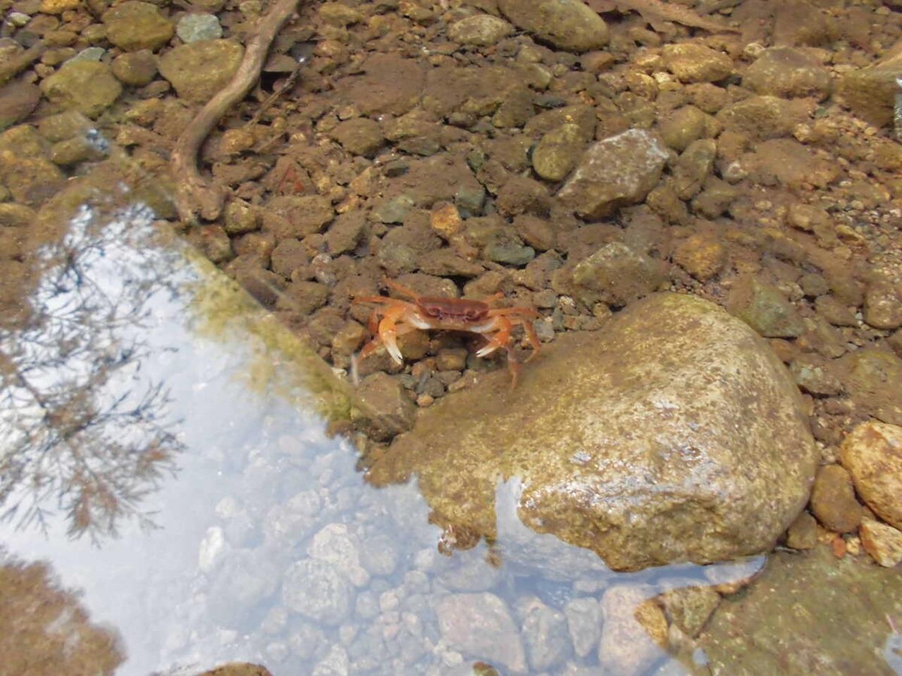 羅漢の里場