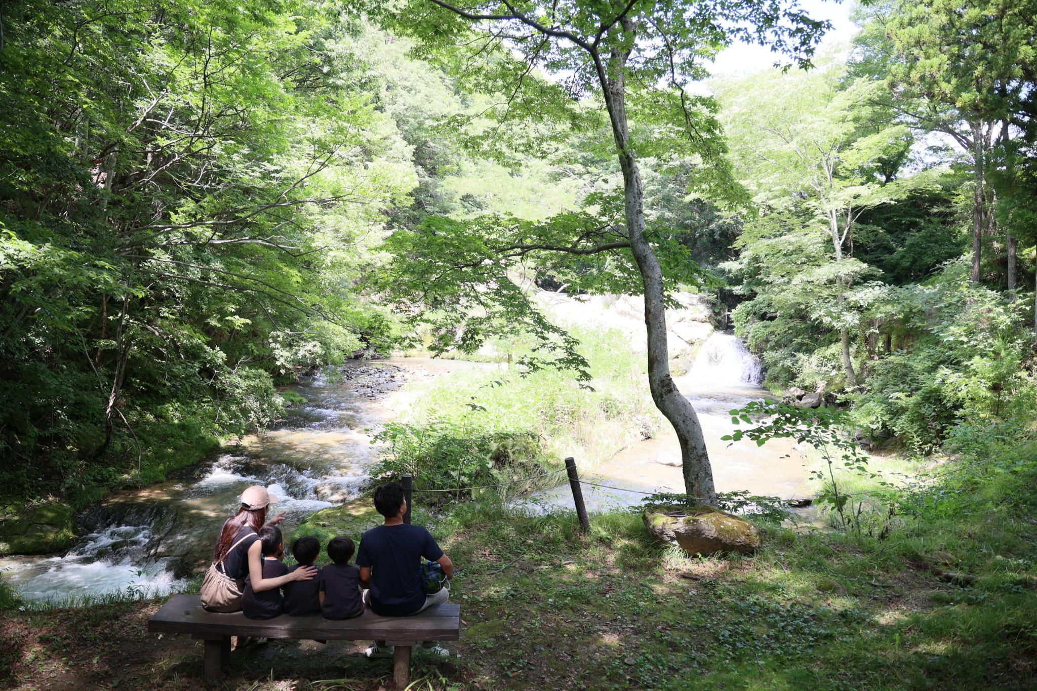 目の前にある千古の滝