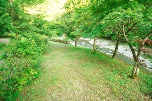 大柳川渓流キャンプ場