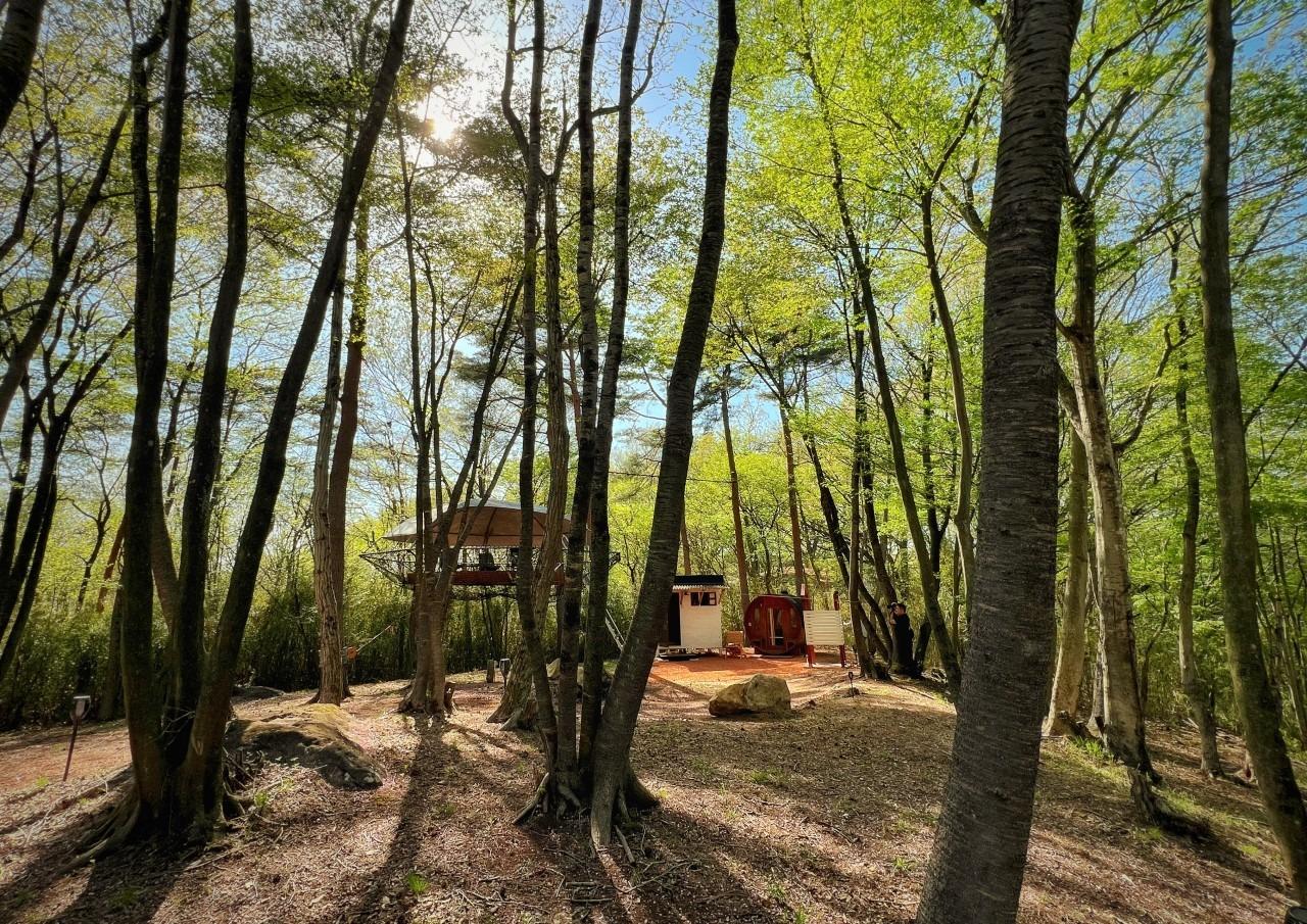 Aサイトに配置されたサウナスペース