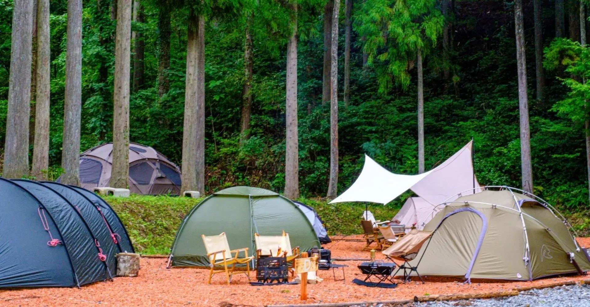 ・当館敷地内の「美山CAMPNG FIELD」でのテントサイト。テント持ち込みorレンタルもOK！