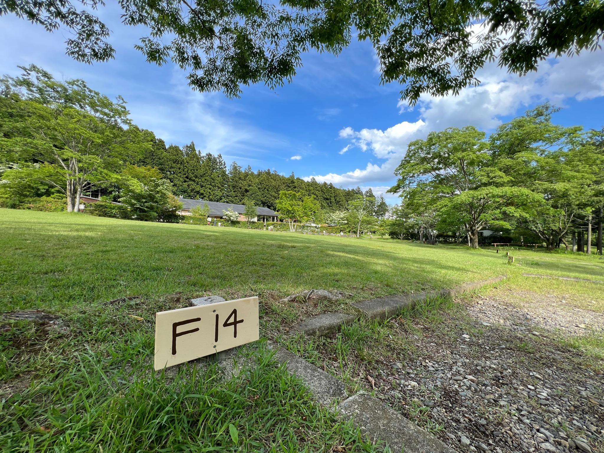 梅雨入り前の芝広場サイト