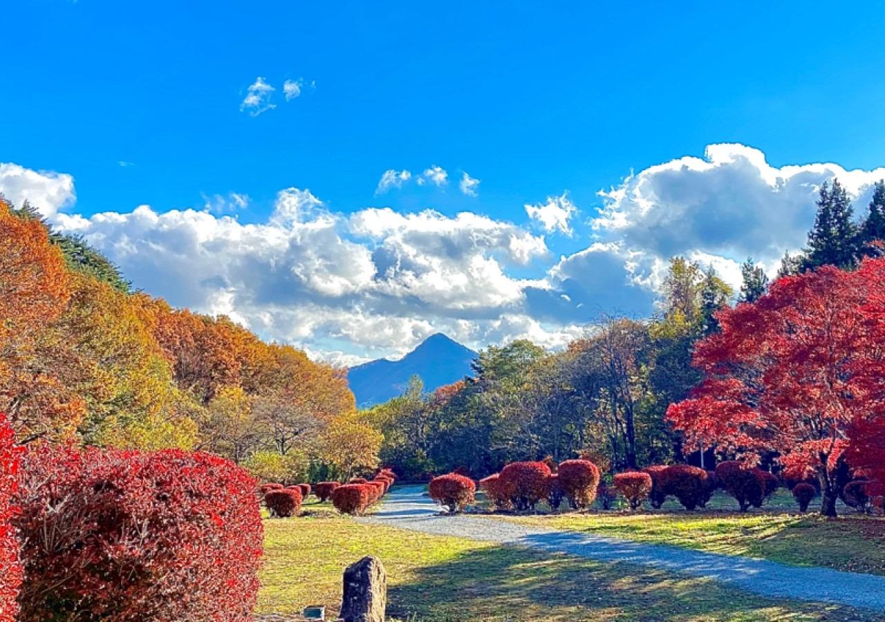 季節の風景（秋）