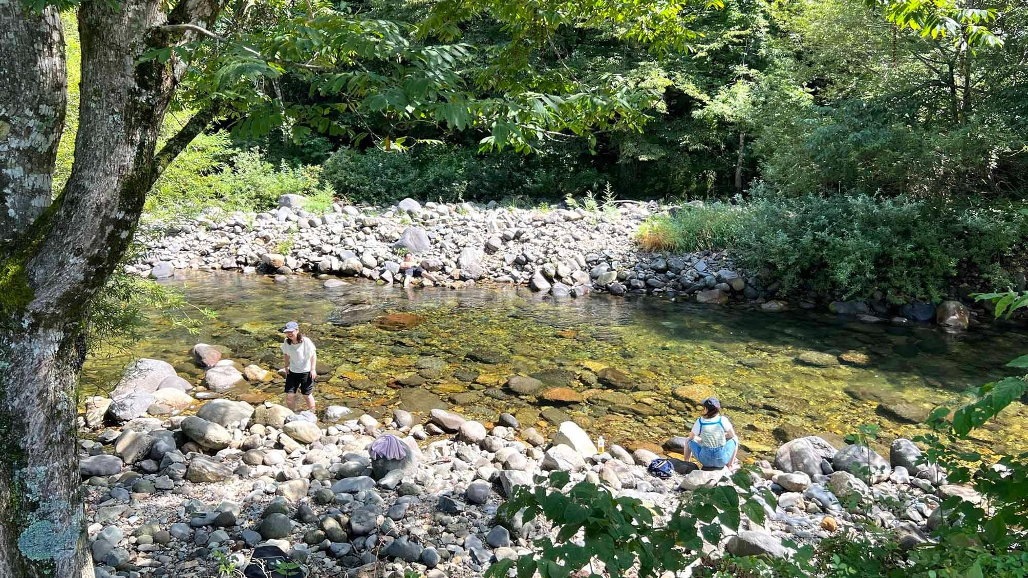 ・【川遊び】川に住む生き物探しや笹舟を流したりと、渓流ならではの川遊び体験