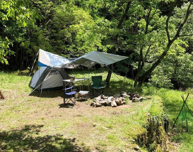 つづみの里公園 ポーン太の森キャンプ場｜楽天トラベルキャンプ