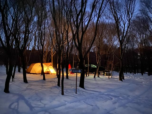 朝霧高原 英知の杜キャンプ場｜楽天トラベルキャンプ