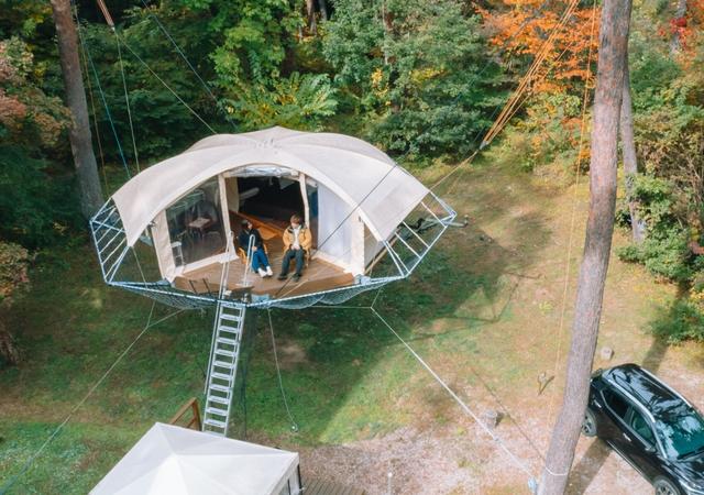 ツリードーム南信州まつかわ｜楽天トラベルキャンプ