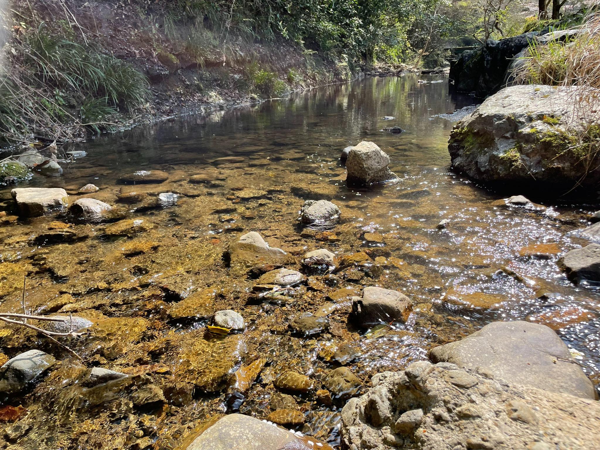 渓流園地 | キャンプ場検索サイト【hinata スポット】