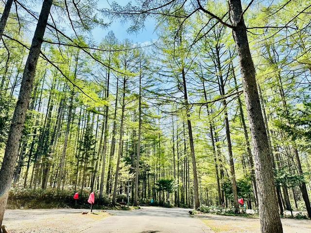 鞍葉ページ 国防色グランドシート ポケット50×34cm【日本製】HOBI 上質ラフ仕上げ