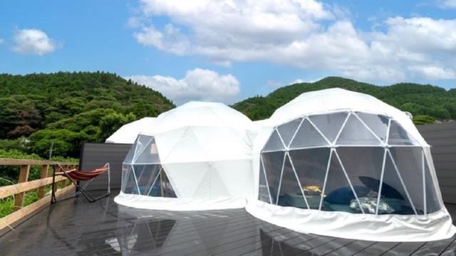 道後温泉 タペストリー 約70cm 道後温泉 タペストリー 約70cm 道後温泉 タペストリー 約70cm