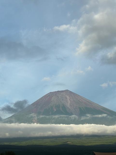 FUJI TOMATO FIELDのクチコミ一覧