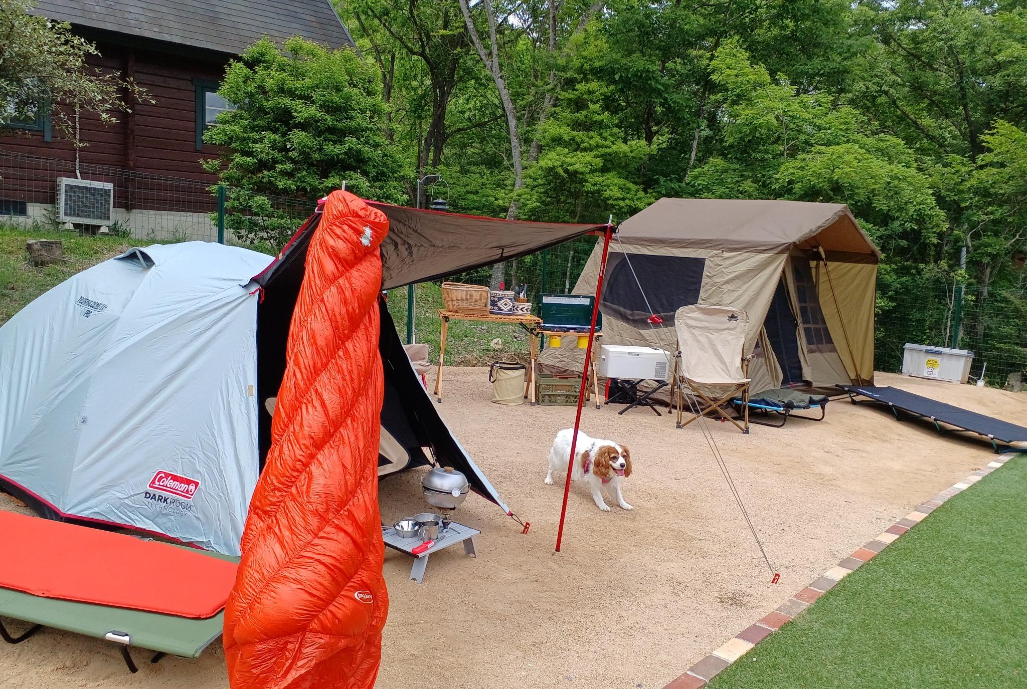 癒しの家キャンプ場｜楽天トラベルキャンプ