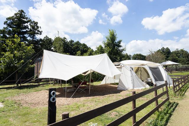 THE FARM（ザファーム）｜楽天トラベルキャンプ