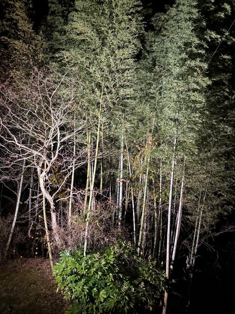 Rustic Field 郷山広場キャンプフィールド｜楽天トラベルキャンプ