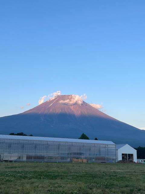 FUJI TOMATO FIELD｜楽天トラベルキャンプ