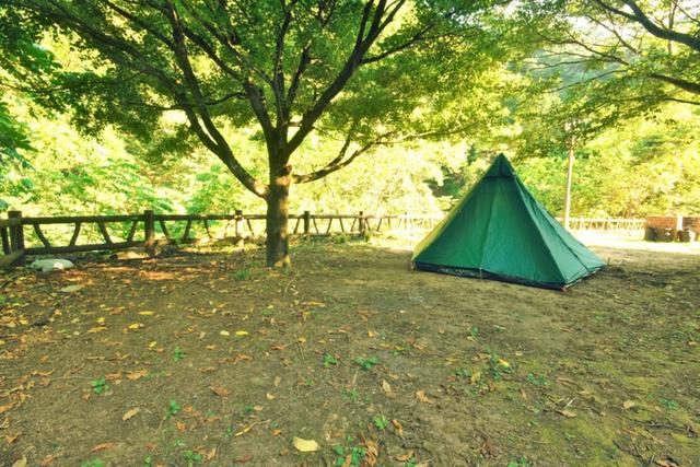大柳川渓流キャンプ場｜楽天トラベルキャンプ