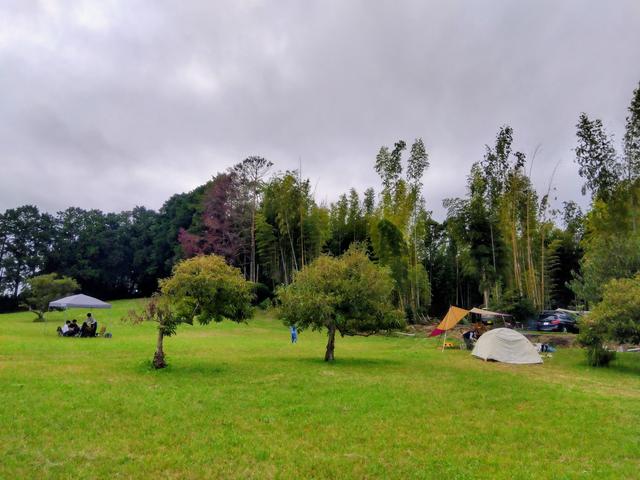 Base Camp Kisarazu｜楽天トラベルキャンプ