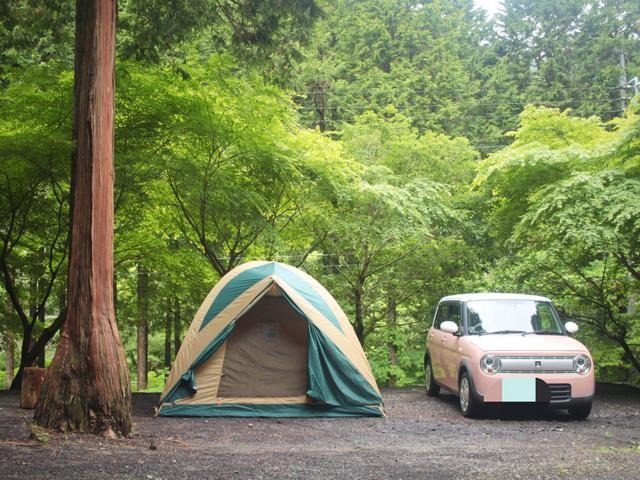 天子の森オートキャンプ場 新設林間キャンプ場｜楽天トラベルキャンプ