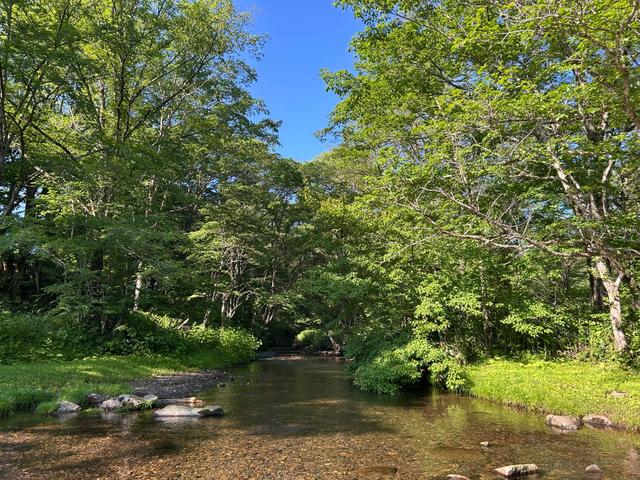 宮っ地 戸隠キャンプ場│キャンプ場ドットコム：LOGOS