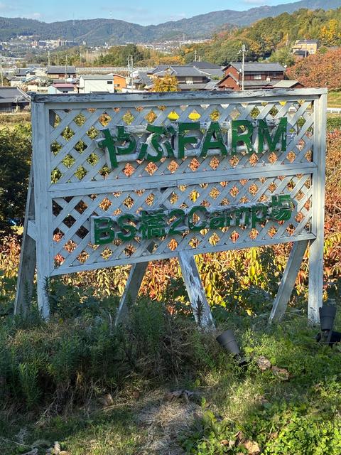 やぶFARMキャンプフィールド｜楽天トラベルキャンプ