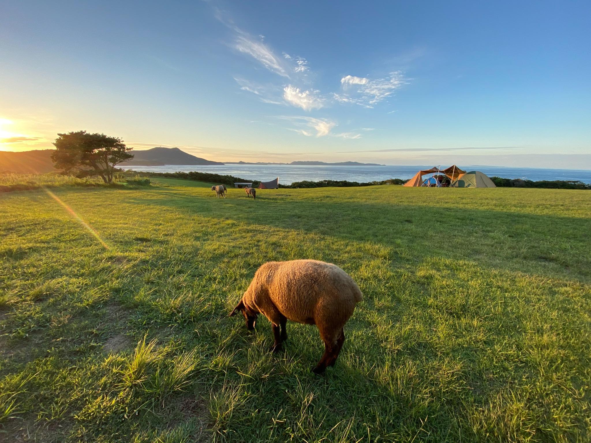 中瀬草原キャンプ場 | キャンプ場検索サイト【hinata スポット】