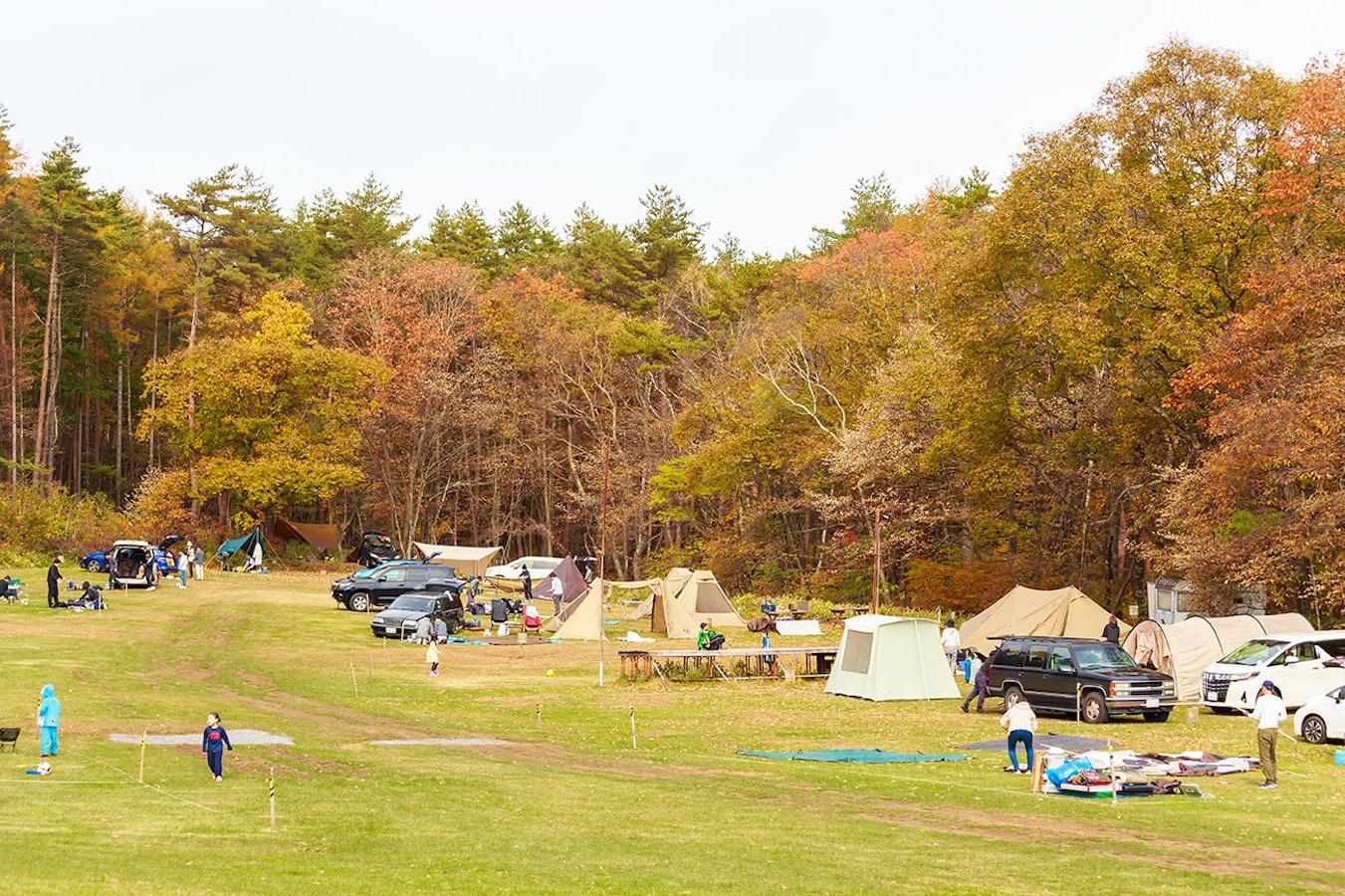 新栄清里キャンプ場のサイト風景