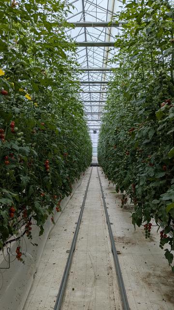 FUJI TOMATO FIELDのクチコミ一覧