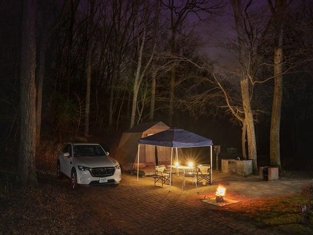 くぬぎの森オートキャンプ場（休暇村 帝釈峡）｜楽天トラベルキャンプ