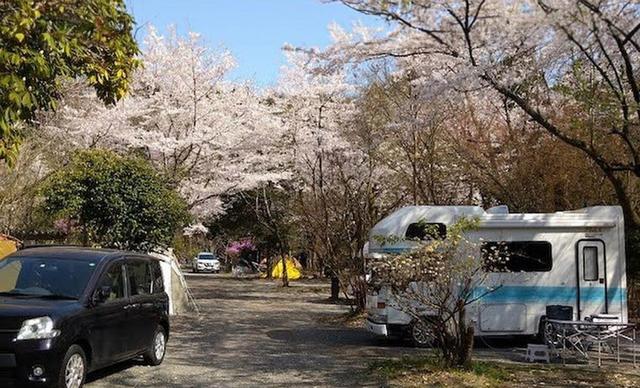 新富士オートキャンプ場｜楽天トラベルキャンプ