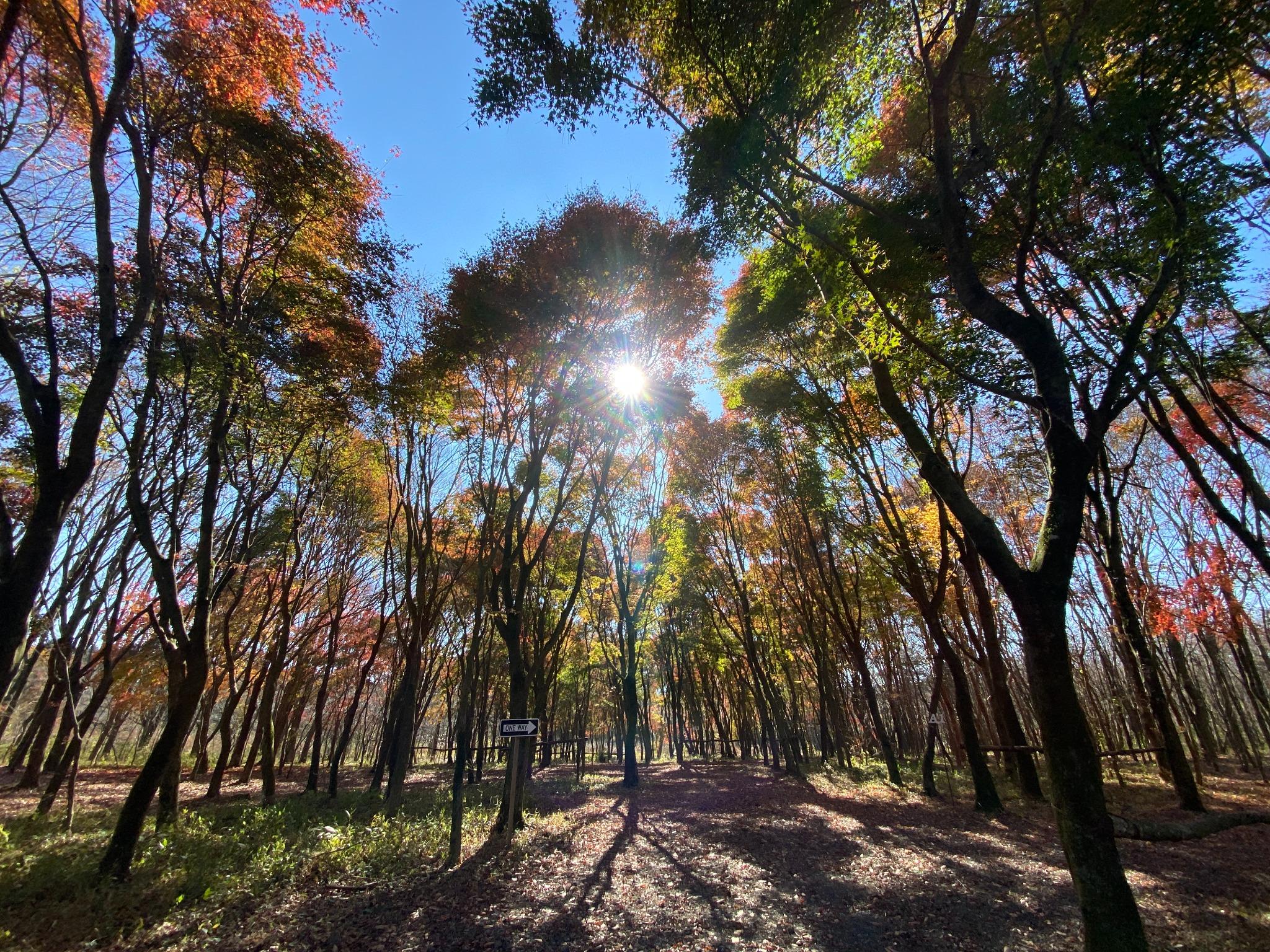 朝霧高原英知の杜キャンプ場の周辺施設 | キャンプ場検索サイト