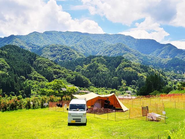 朝日と風を感じるキャンプ場 ドッグフリー区画サイト♪｜楽天トラベルキャンプ