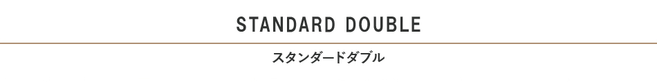 スタンダードダブル見出し
