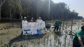 Asuransi Rama Tanam Pohon Mangrove