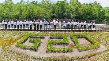 G20 Penanaman Mangrove