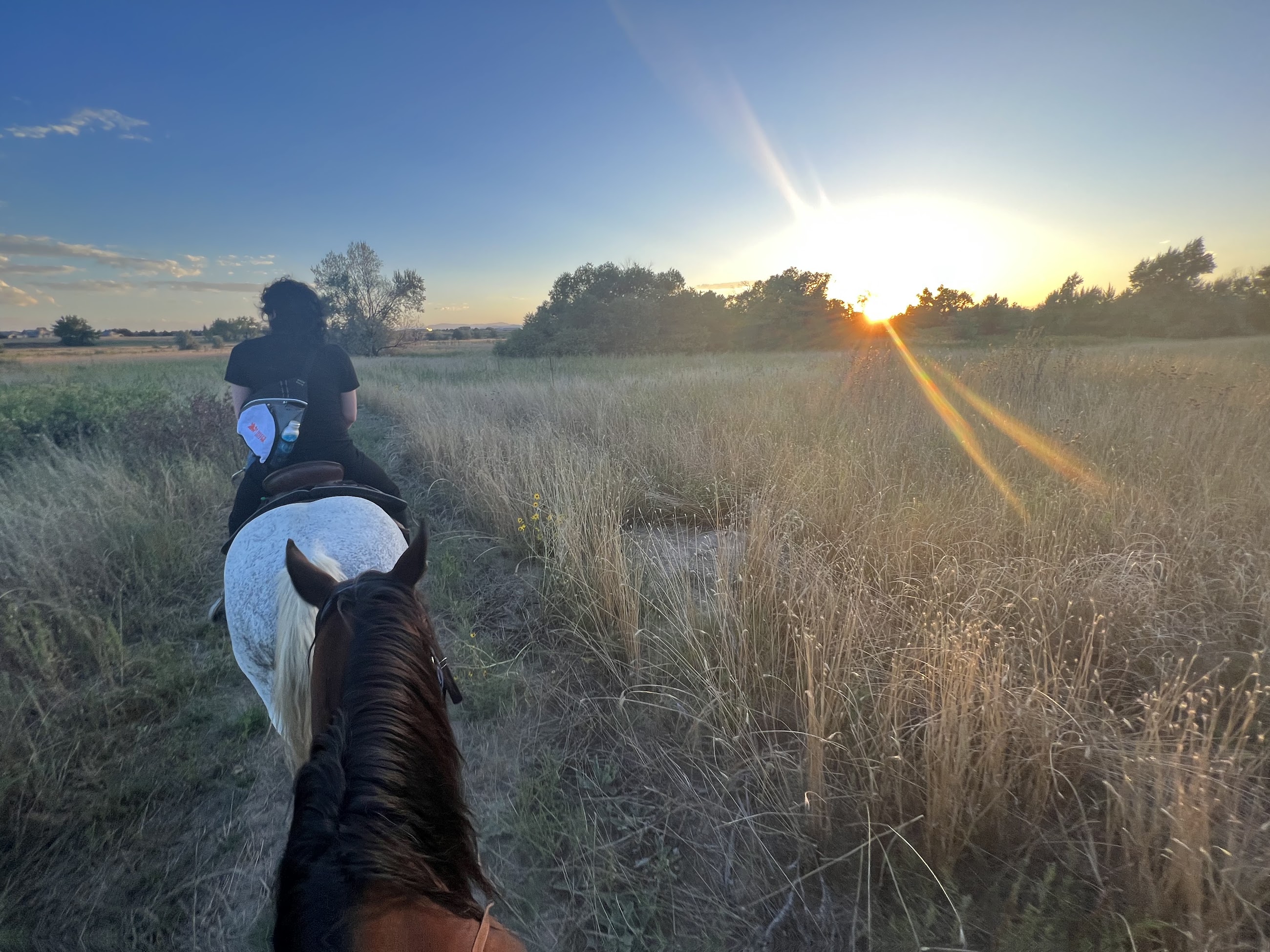12 Mile Stables
