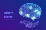 Digital Brain