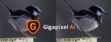 Gigapixel AI