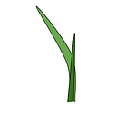 .first leaf logo
