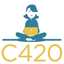 APEMAN C420