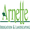 Arnette
