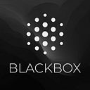 BlackBox Cam