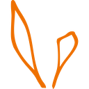 Campo Verde