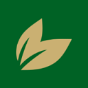 Greenfield Organic Tea