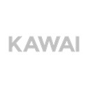 Kawai CA