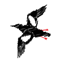 Kayaks.com logo