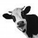 Laughing Cow