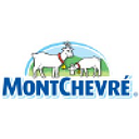 Montchevre Goat Cheese
