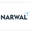 Narwal Tulip