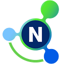 NetFoundry DNS