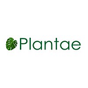 Plantae